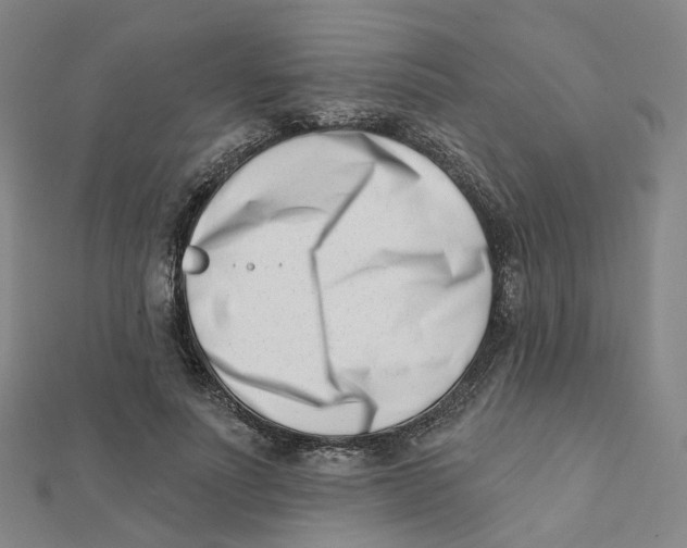 X0000112080691200909011044