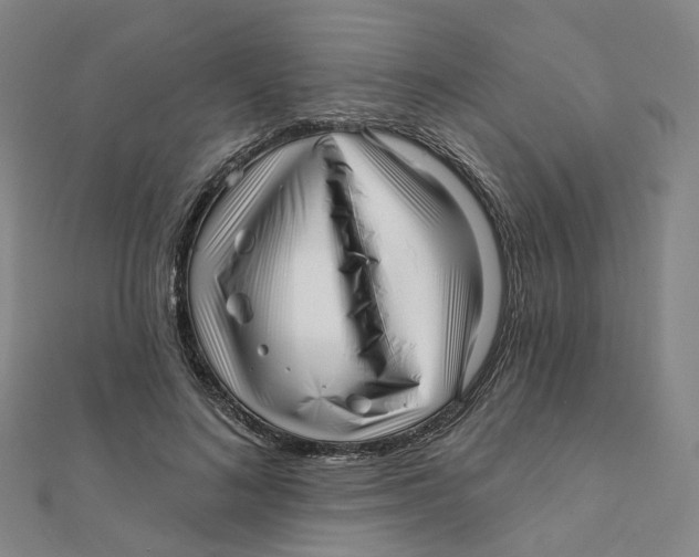 X0000112080692200909011044