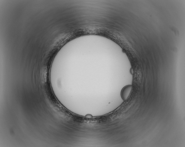 X0000112080694200909011044