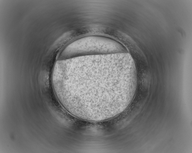 X0000112080696200909011044