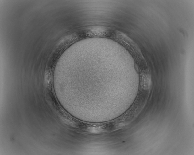 X0000112080701200909011044