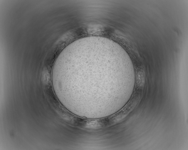 X0000112080705200909011044