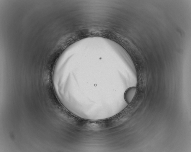 X0000112080706200909011044