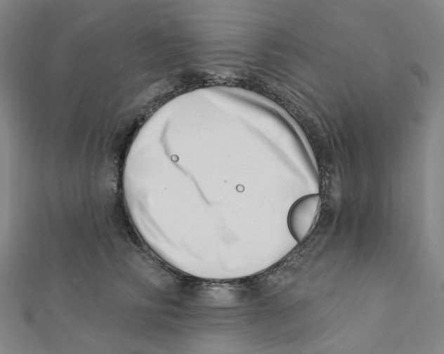 X0000112080710200909011043