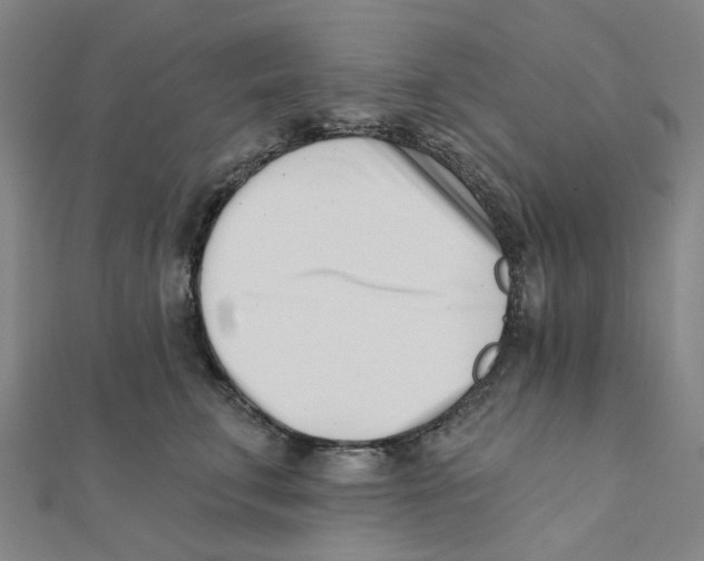 X0000112080711200909011043