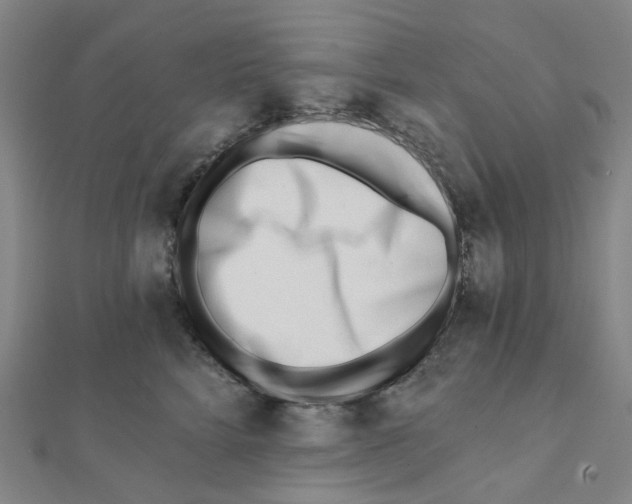 X0000112080712200909011043