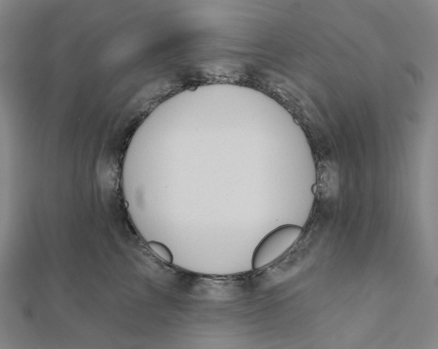 X0000112080713200909011043