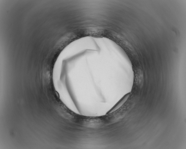 X0000112080716200909011043