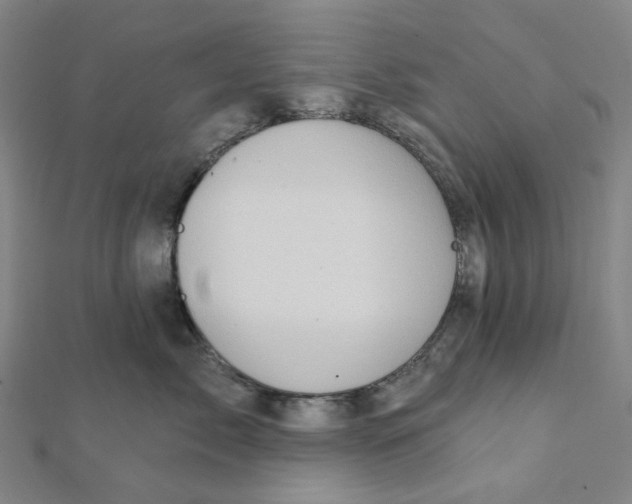 X0000112080717200909011043
