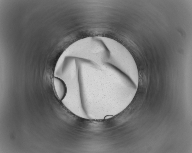 X0000112080718200909011043