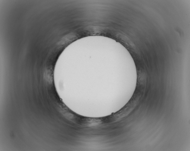 X0000112080719200909011043