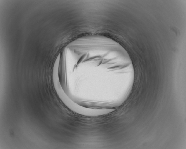 X0000112080720200909011043