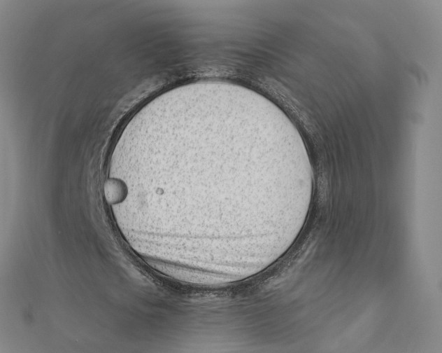 X0000112080721200909011043