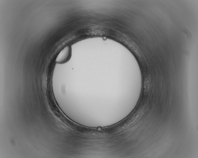 X0000112080722200909011043