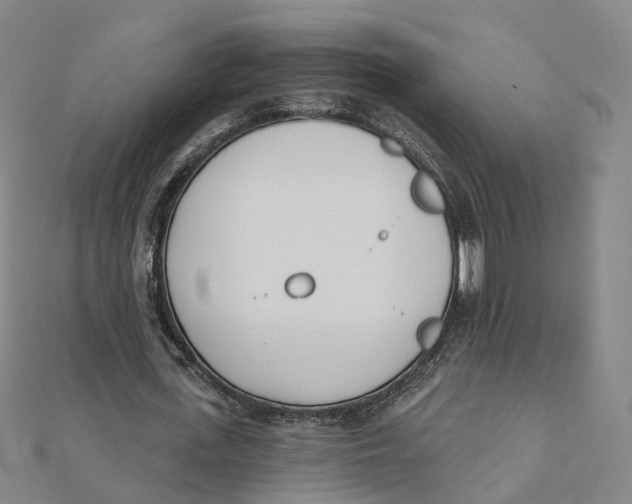 X0000112080723200909011043
