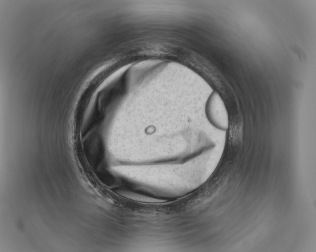 X0000112080724200909011043