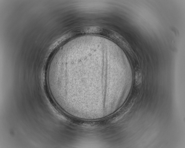 X0000112080725200909011043