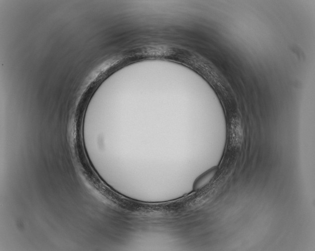 X0000112080726200909011043