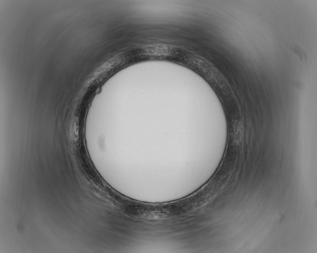 X0000112080731200909011043