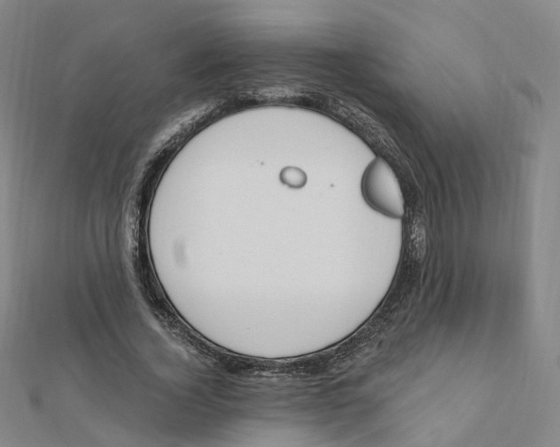 X0000112080732200909011043
