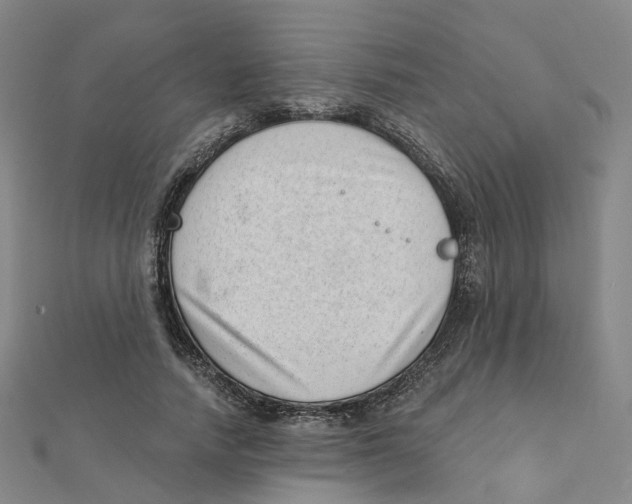 X0000112080738200909011043