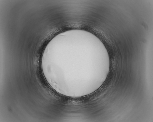 X0000112080739200909011043