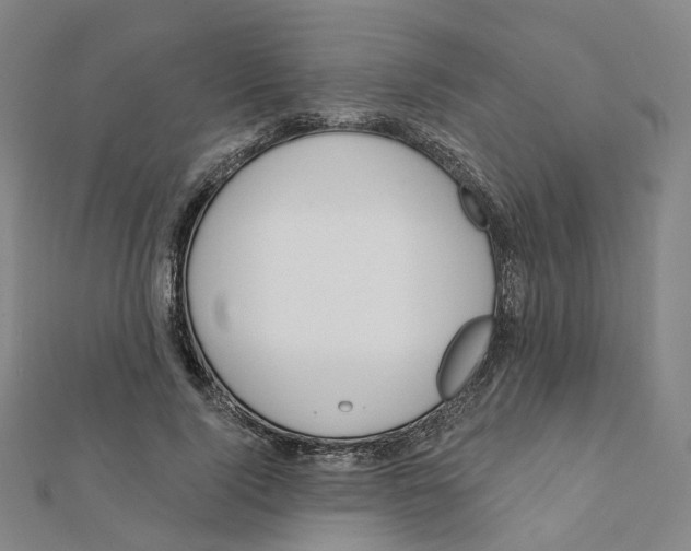 X0000112080740200909011043