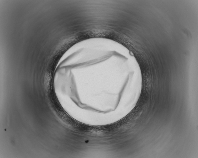 X0000112080742200909011043