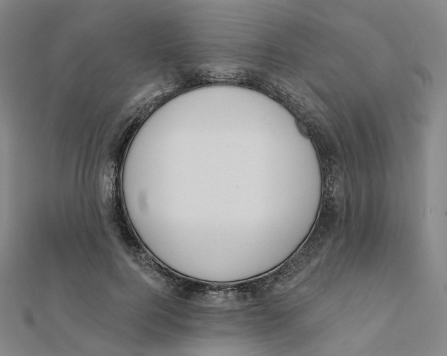 X0000112080744200909011043