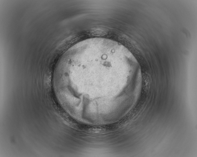 X0000112080745200909011043