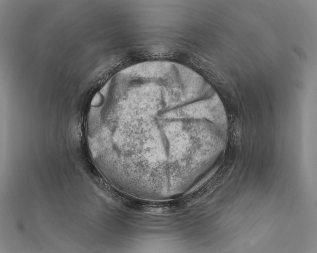 X0000112080746200909011043