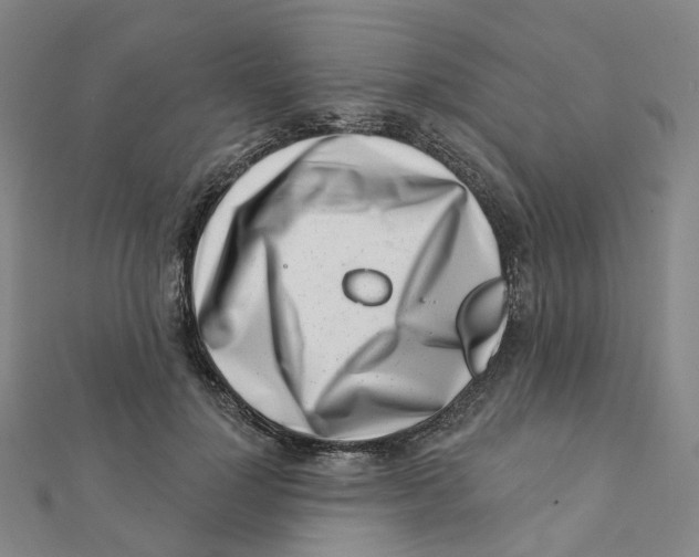 X0000112080748200909011043