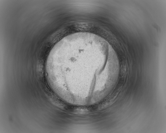 X0000112080749200909011043