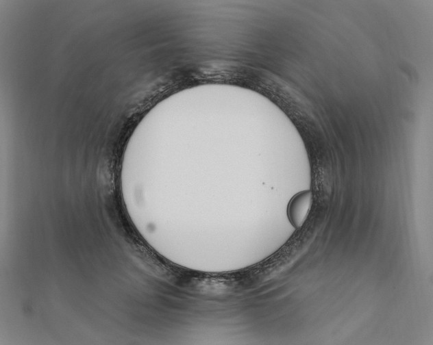 X0000112080751200909011043