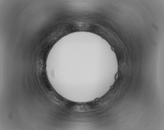 X0000112080752200909011043