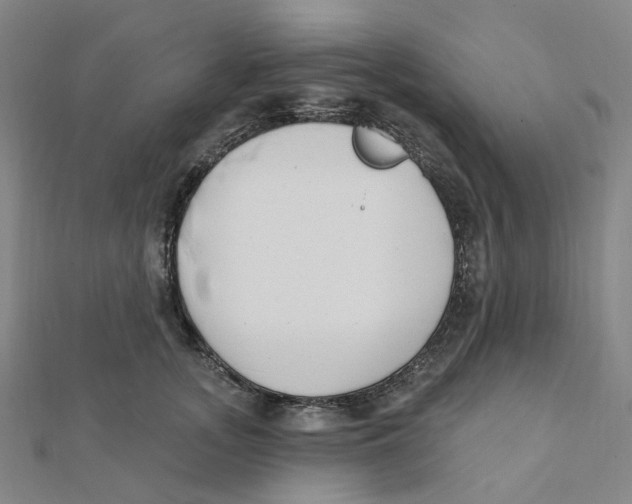 X0000112080755200909011043