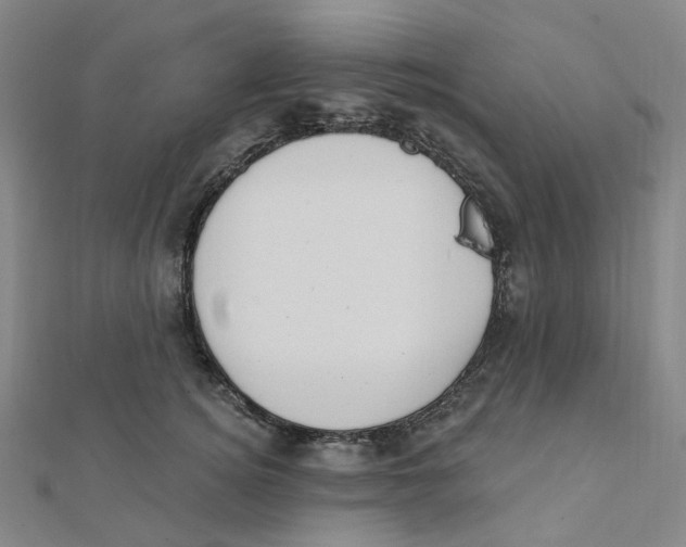 X0000112080756200909011043
