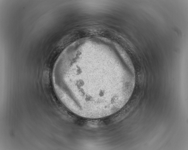 X0000112080757200909011043