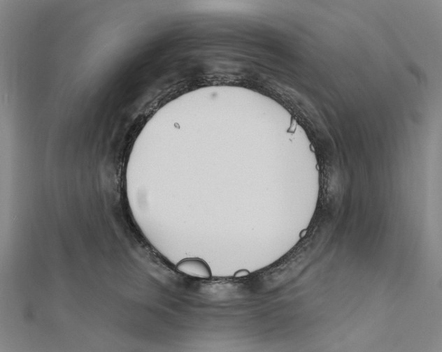 X0000112080759200909011043