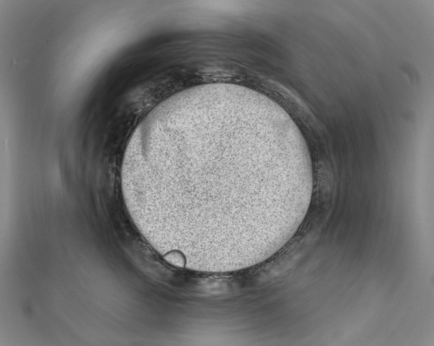 X0000112080761200909011043
