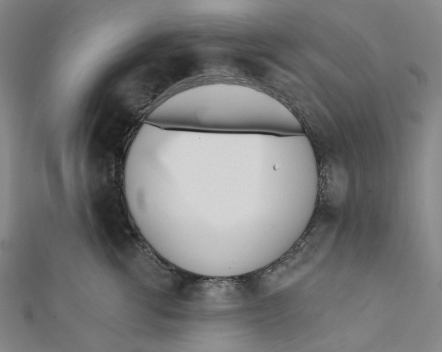 X0000112080762200909011043