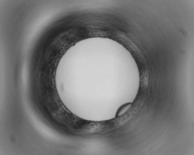 X0000112080764200909011043
