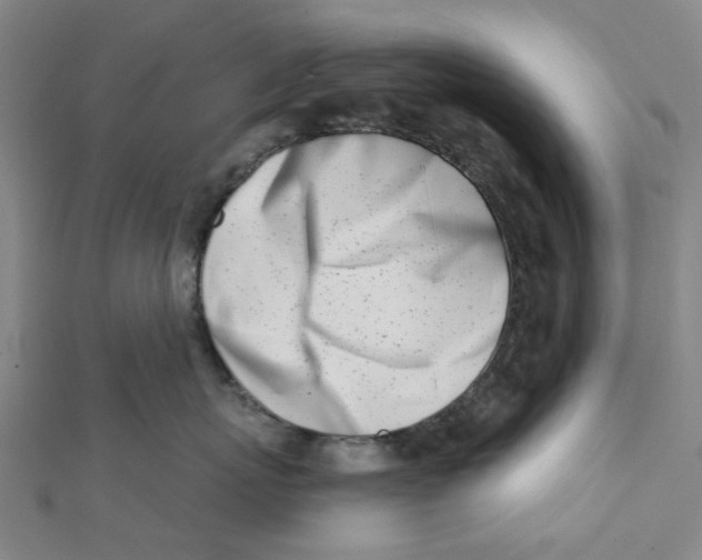 X0000112080767200909011043