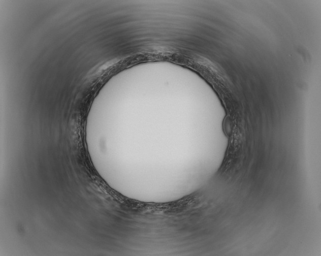X0000112080773200909011043
