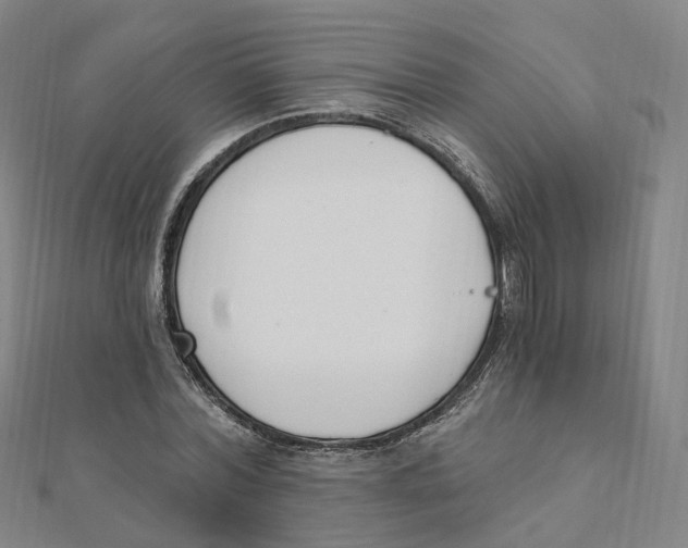X0000112080780200909011043