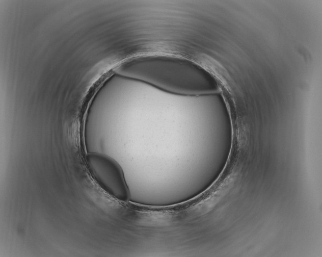 X0000112080781200909011043