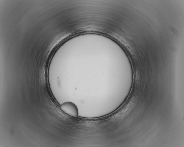 X0000112080782200909011043