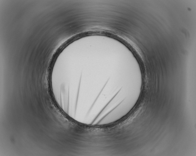 X0000112080783200909011043