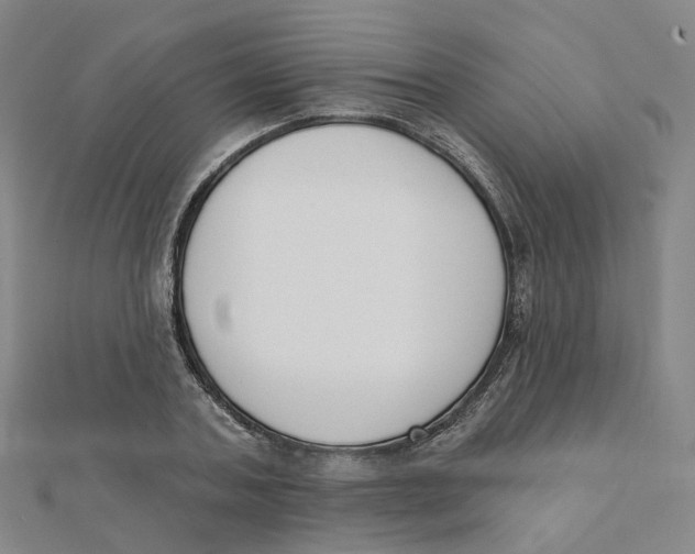 X0000112080787200909011043