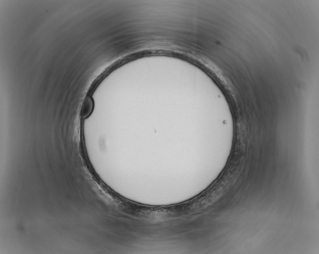 X0000112080791200909011042